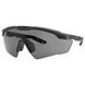 Окуляри тактичні Revision Sawfly R3 Max Smoke Lens Regular 186-b10 фото 1